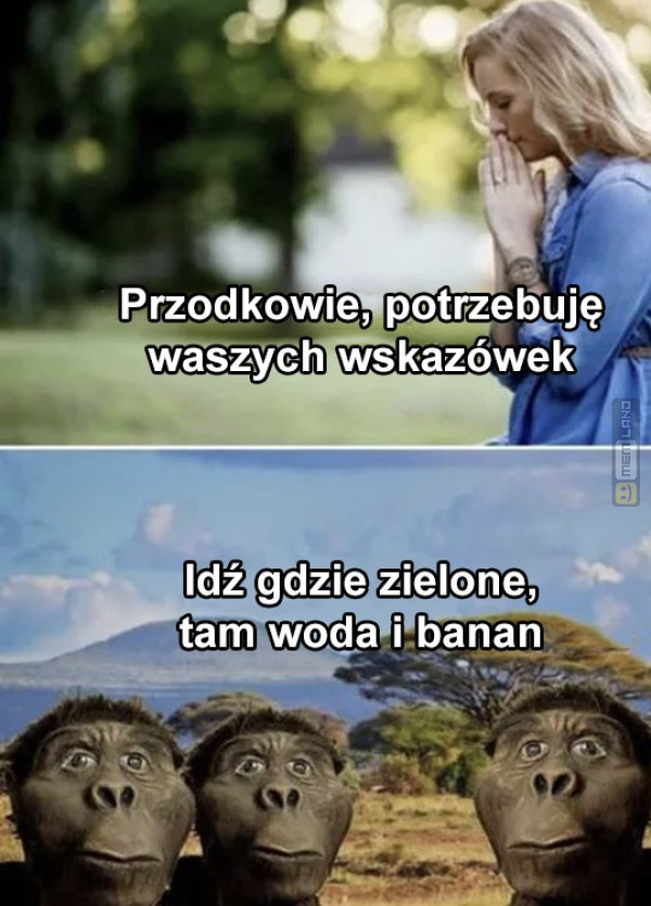 Śmieszny mem: 4238007 - MemLand