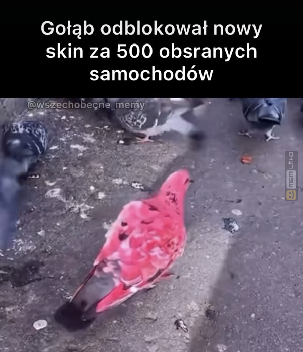 Śmieszny mem: 4244991 - MemLand