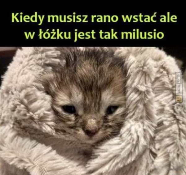 Śmieszny mem: 4246782 - MemLand