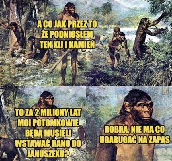 Śmieszny mem: 4256958 - MemLand