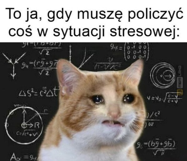 Śmieszny mem: 4257188 - MemLand