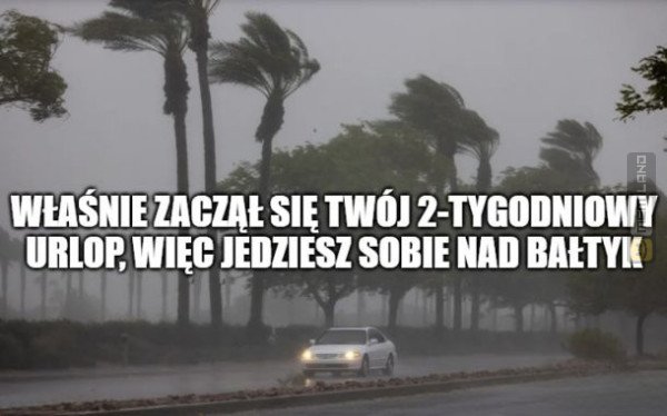 Śmieszny mem: 4257957 - MemLand