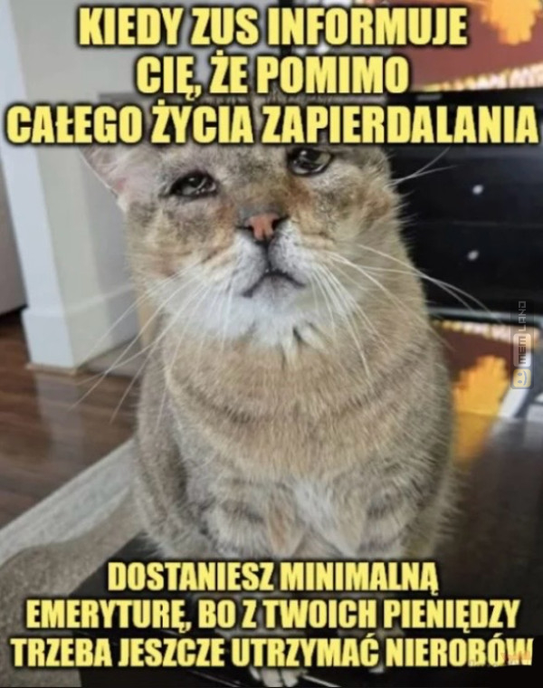 Śmieszny mem: 4276320 - MemLand