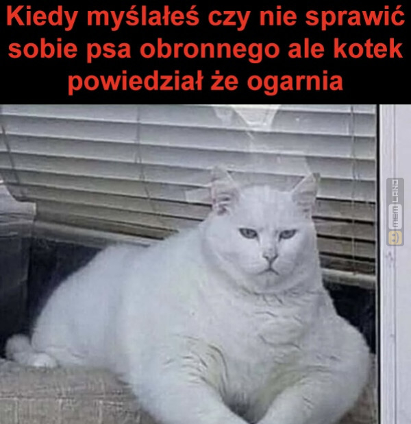 Śmieszny mem: 4279245 - MemLand