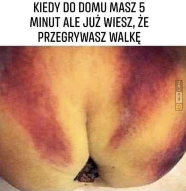 Śmieszny mem: 4285005 - MemLand
