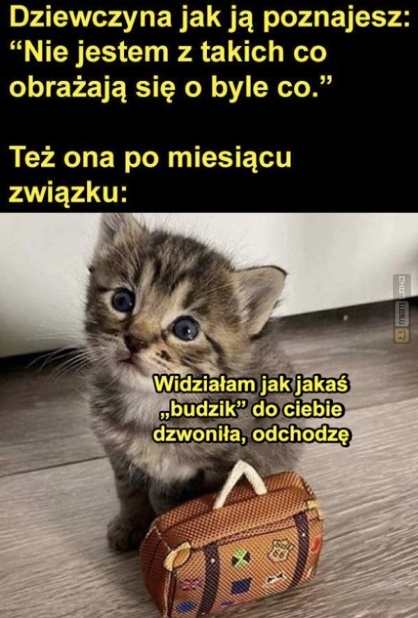 Śmieszny mem: 4311920 - MemLand