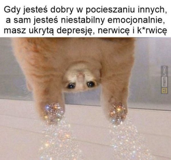 Śmieszny mem: 4312414 - MemLand