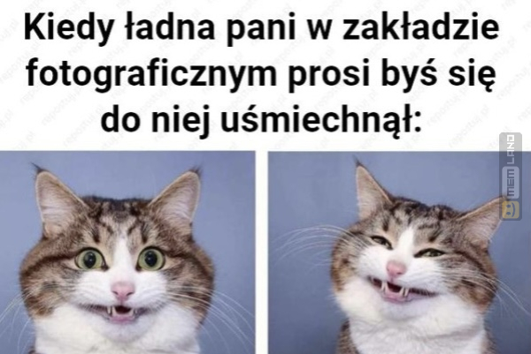 Śmieszny mem: 4315523 - MemLand