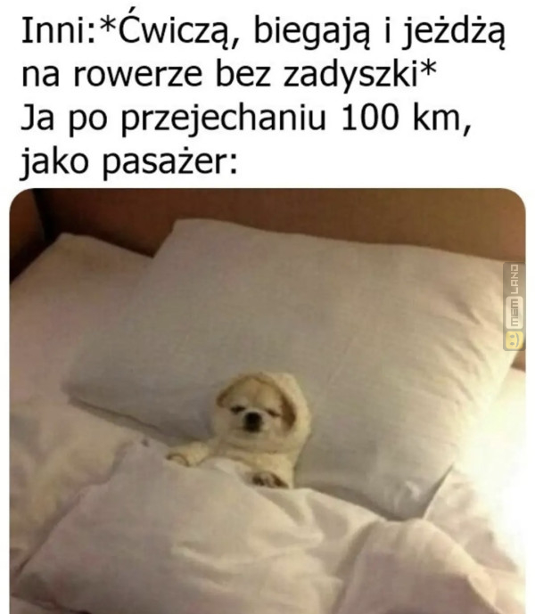 Śmieszny mem: 4319976 - MemLand