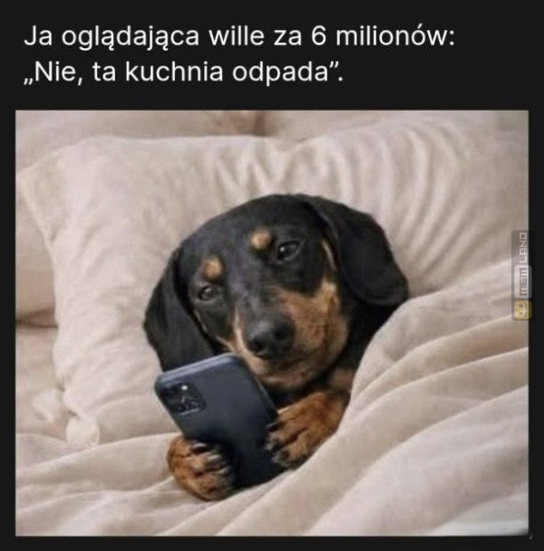 Śmieszny mem: 4321387 - MemLand