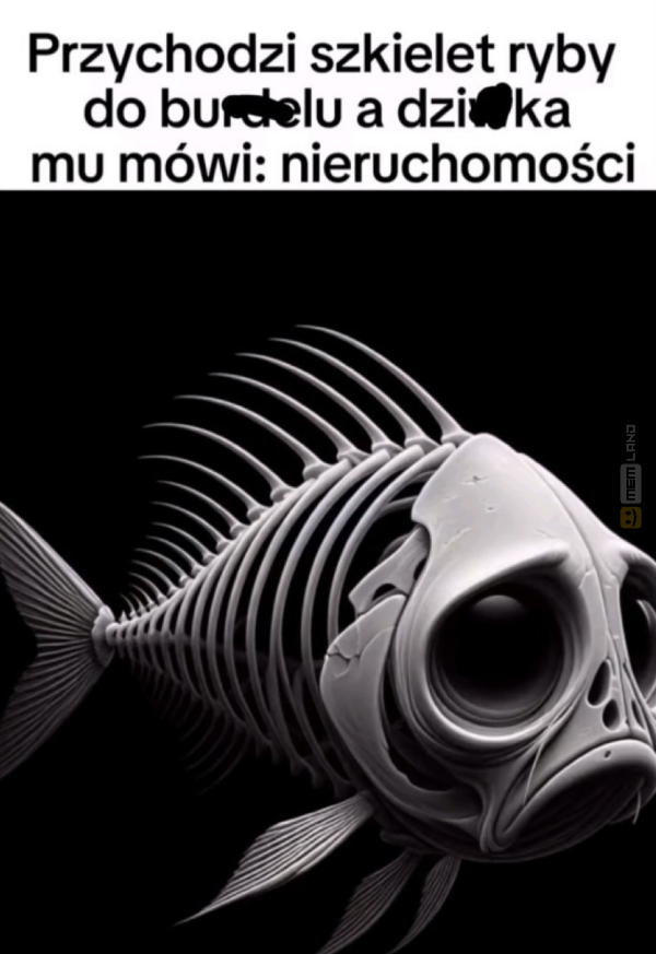 Śmieszny mem: 4322292 - MemLand