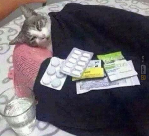 Śmieszny mem: 4333783 - MemLand