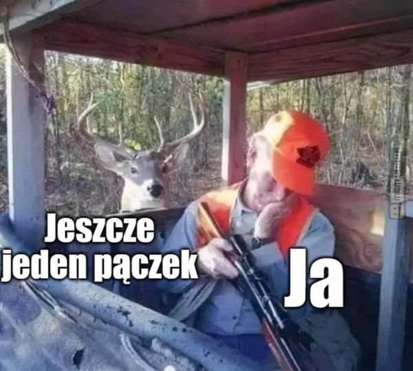 Śmieszny mem: 4340172 - MemLand