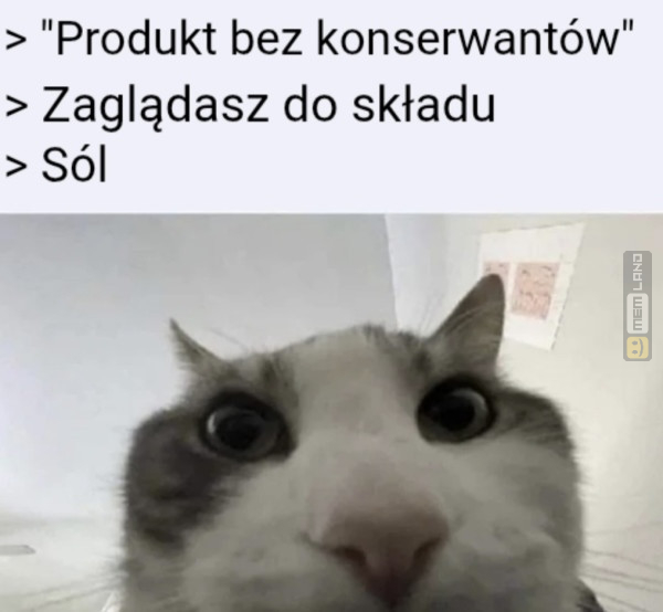 Śmieszny mem: 4349797 - MemLand