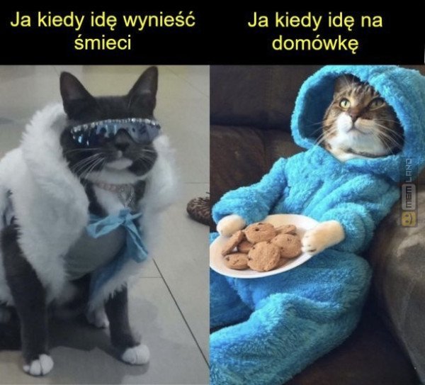 Śmieszny mem: 4367444 - MemLand