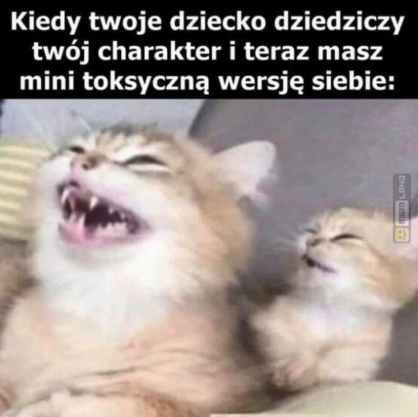 Śmieszny mem: 4368414 - MemLand