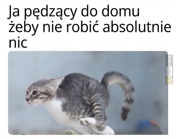 Śmieszny mem: 4369359 - MemLand