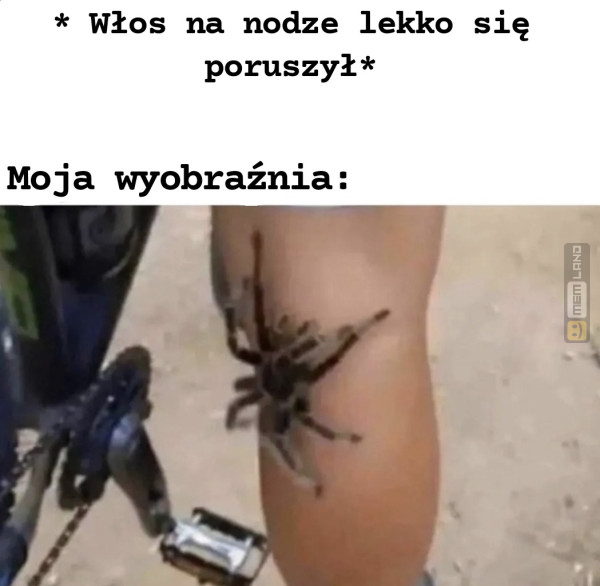 Śmieszny mem: 4375777 - MemLand