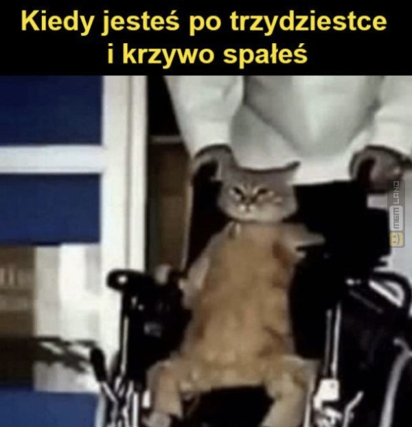 Śmieszny mem: 4383410 - MemLand