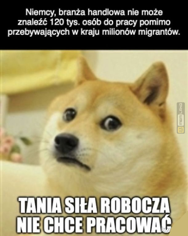 Śmieszny mem: 4384266 - MemLand