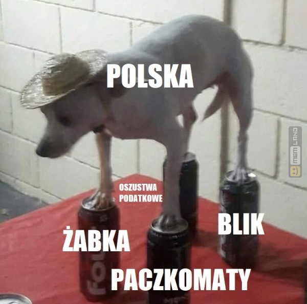 Śmieszny mem: 4385250 - MemLand