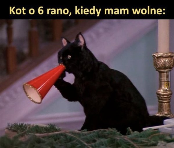 Śmieszny mem: 4385636 - MemLand