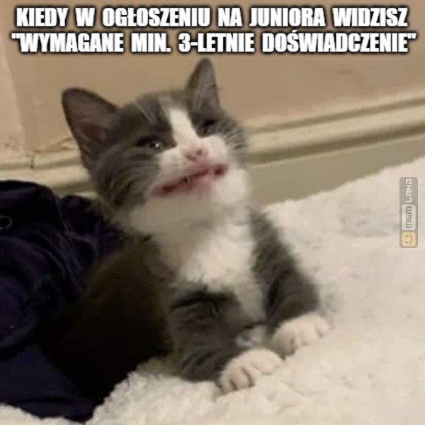 Śmieszny mem: 4397184 - MemLand