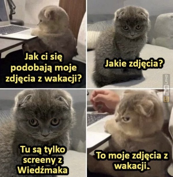 Śmieszny mem: 4398335 - MemLand