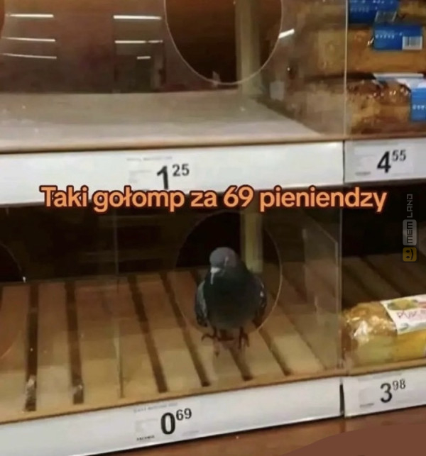 Śmieszny mem: 4399285 - MemLand