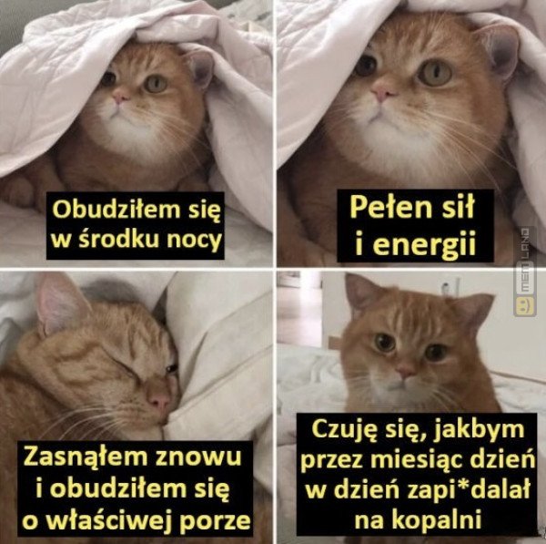 Śmieszny mem: 4401406 - MemLand