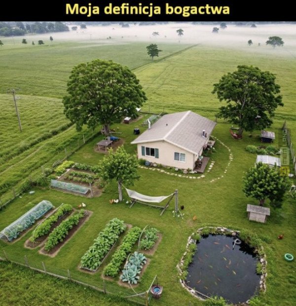 Śmieszny mem: 4402071 - MemLand