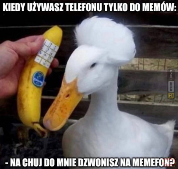 Śmieszny mem: 4407494 - MemLand