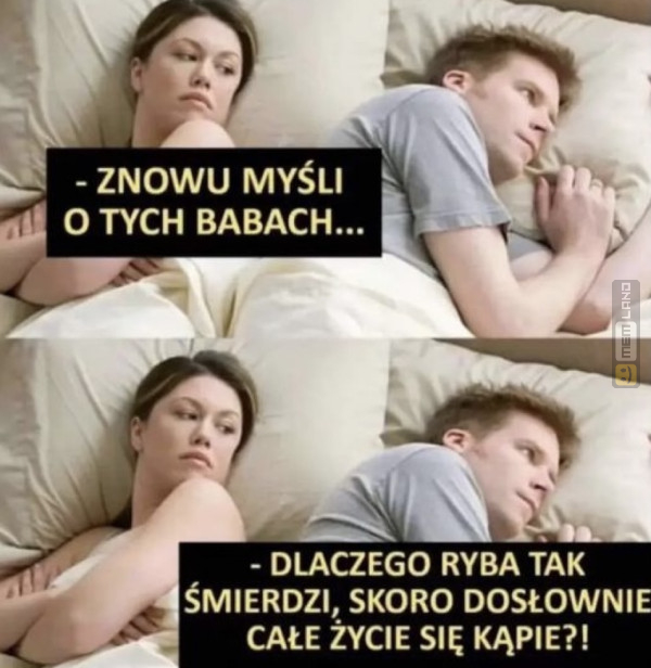 Śmieszny mem: 4412569 - MemLand