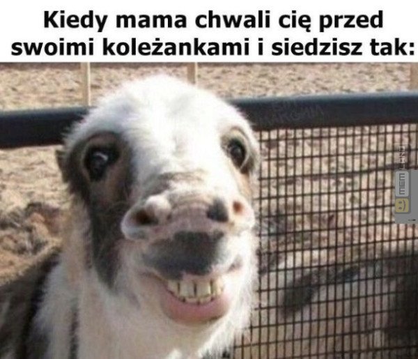 Śmieszny mem: 4419015 - MemLand