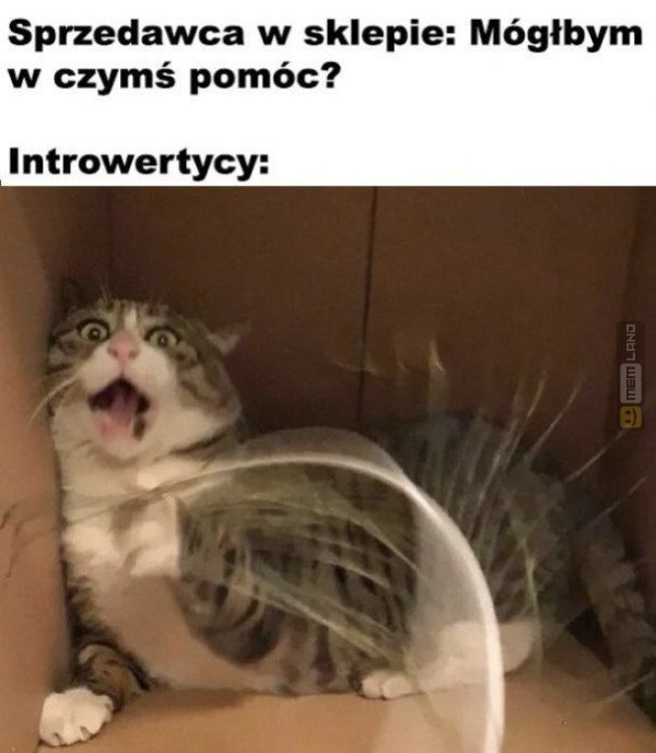 Śmieszny mem: 4422639 - MemLand