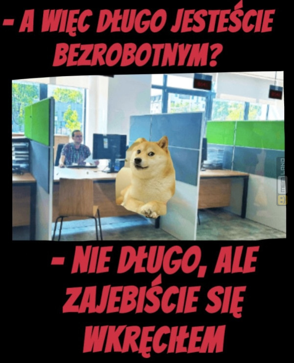 Śmieszny mem: 4427049 - MemLand