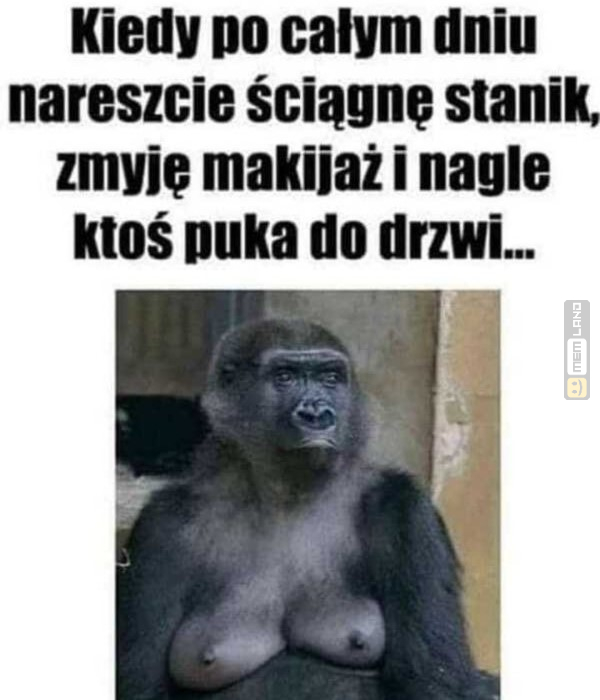 Śmieszny mem: 4427753 - MemLand