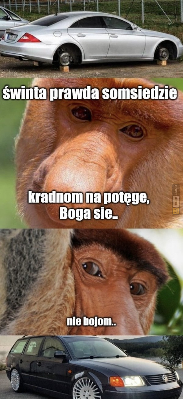 Śmieszny mem: 4432381 - MemLand