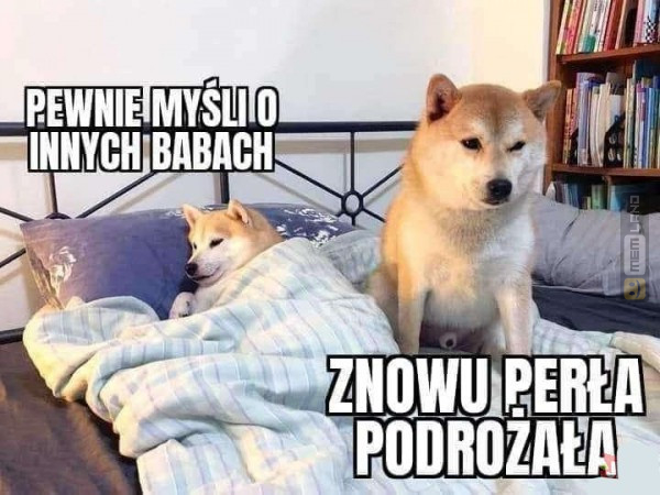 Śmieszny mem: 4433659 - MemLand