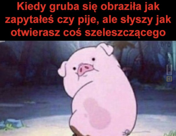 Śmieszny mem: 4442048 - MemLand