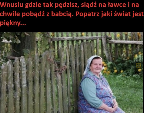 Śmieszny mem: 4466204 - MemLand