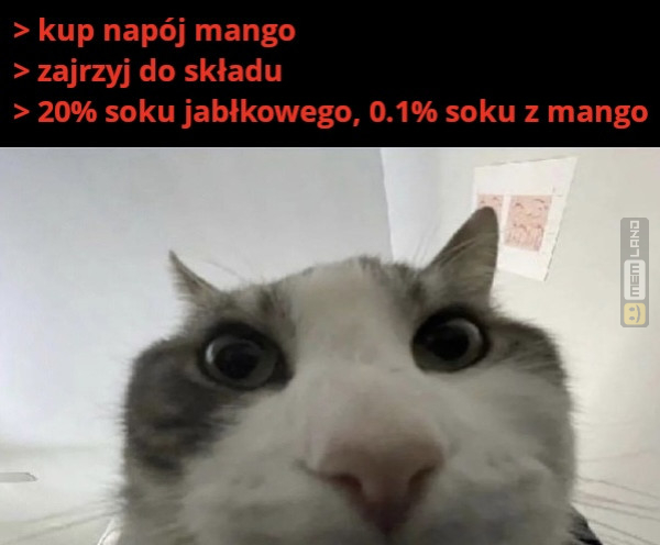 Śmieszny mem: 4467256 - MemLand