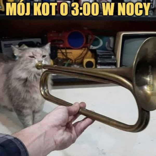 Śmieszny mem: 4469154 - MemLand