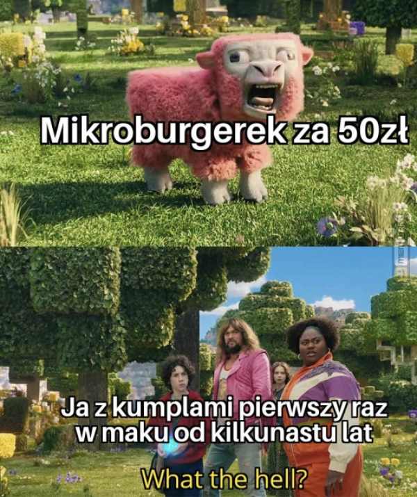 Śmieszny mem: 4469838 - MemLand