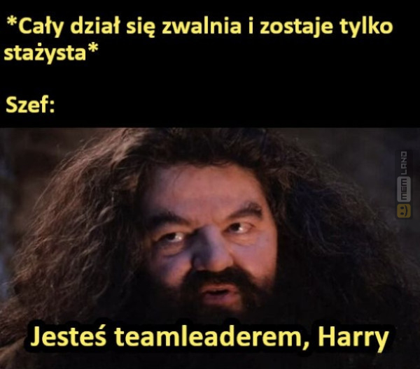 Śmieszny mem: 4472998 - MemLand