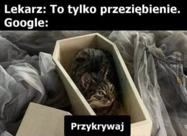 Śmieszny mem: 4477405 - MemLand