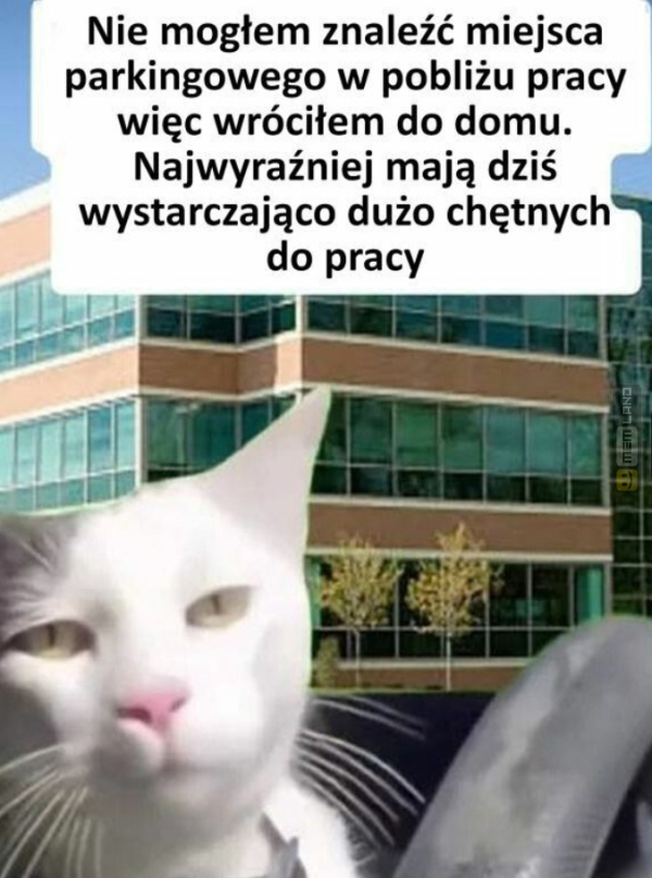 Śmieszny mem: 4480576 - MemLand