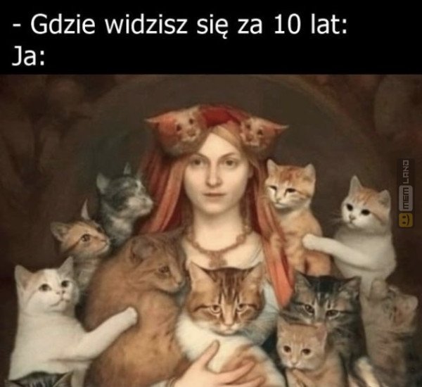 Śmieszny mem: 4480848 - MemLand