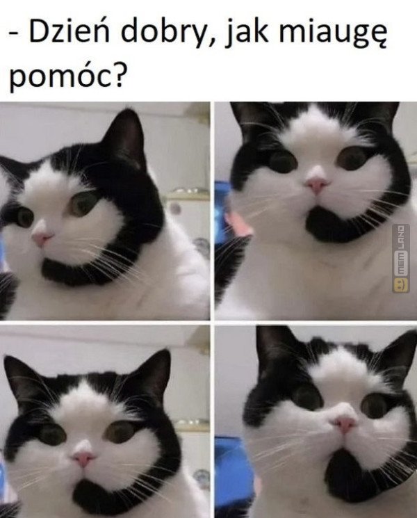 Śmieszny mem: 4494003 - MemLand