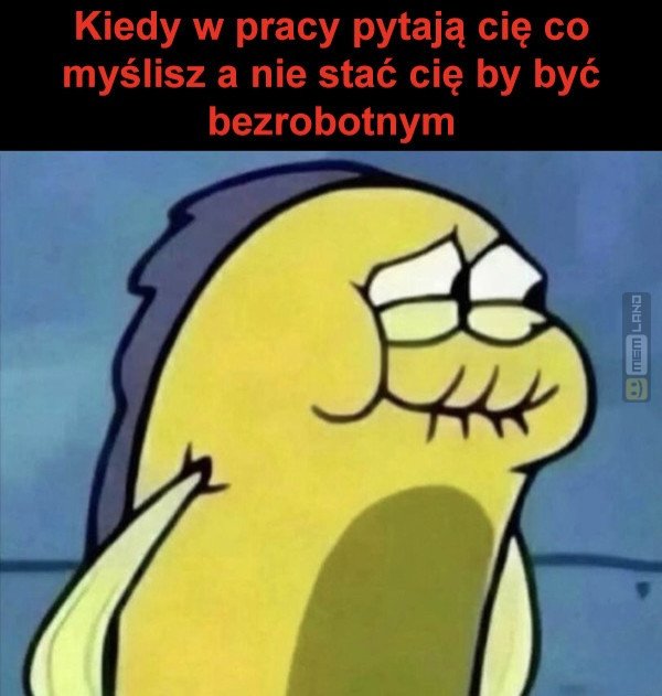 Śmieszny mem: 4494169 - MemLand